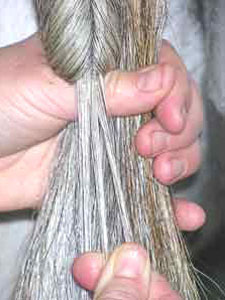 False Tail Fitting Step 1