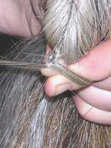 False Tail Fitting Step 2