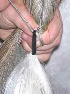 False Tail Fitting Step 3